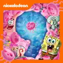 SpongeBob SquarePants, Season 9 watch, hd download