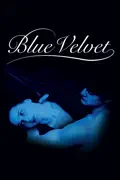 Blue Velvet summary, synopsis, reviews