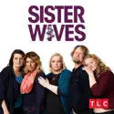 Sister Wives, Season 11 watch, hd download