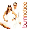 Burn Notice, Season 4 cast, spoilers, episodes and reviews