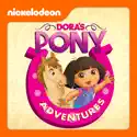 Dora the Explorer, Dora's Pony Adventures cast, spoilers, episodes, reviews