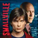 Smallville, Season 5 cast, spoilers, episodes and reviews