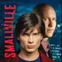 Smallville, Season 5