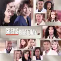 Grey's Anatomy, Season 10 watch, hd download