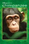 Disneynature: Chimpanzee summary, synopsis, reviews