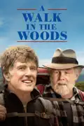 A Walk in the Woods summary, synopsis, reviews
