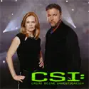 Feeling the Heat (CSI: Crime Scene Investigation) recap, spoilers