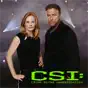 CSI: Crime Scene Investigation, Season 4