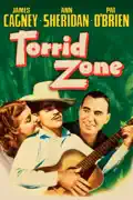 Torrid Zone summary, synopsis, reviews