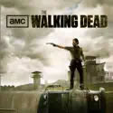 The Walking Dead, Season 3 watch, hd download