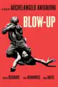 Blow-Up summary and reviews