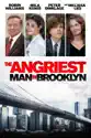 The Angriest Man in Brooklyn summary and reviews