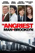 The Angriest Man in Brooklyn summary, synopsis, reviews