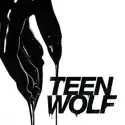 Teen Wolf, Season 5 reviews, watch and download