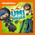 Team Umizoomi: Umi Ninjas watch, hd download