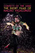 Confetti of the Mind: The Short Films of Nacho Vigalondo summary, synopsis, reviews