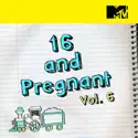 16 and Pregnant, Vol. 6 watch, hd download