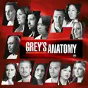 Grey's Anatomy, Season 7 cast, spoilers, episodes, reviews