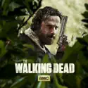 The Walking Dead, Season 5 watch, hd download