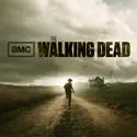The Walking Dead, Season 2 watch, hd download