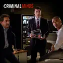 Criminal Minds, Season 10 watch, hd download