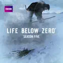 Life Below Zero, Season 5 cast, spoilers, episodes and reviews