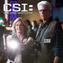 CSI: Crime Scene Investigation, Season 13 cast, spoilers, episodes, reviews