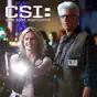 CSI: Crime Scene Investigation, Season 13