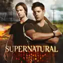 Supernatural, Season 8 cast, spoilers, episodes and reviews