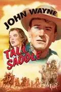 Tall in the Saddle summary, synopsis, reviews