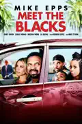 Meet the Blacks summary, synopsis, reviews