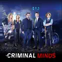 Criminal Minds, Season 11 watch, hd download