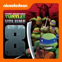 Teenage Mutant Ninja Turtles, Vol. 8 cast, spoilers, episodes, reviews