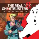 The Real Ghostbusters, Vol. 8 watch, hd download