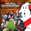The Real Ghostbusters, Vol. 5 watch, hd download
