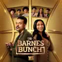 Barnes Bunch, Season 1 release date, synopsis and reviews
