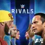 Hulk Hogan vs. 