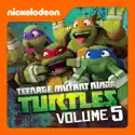 Teenage Mutant Ninja Turtles, Vol. 5 cast, spoilers, episodes, reviews