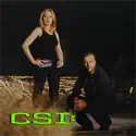 No Humans Involved (CSI: Crime Scene Investigation) recap, spoilers