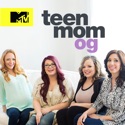 Teen Mom, Vol. 11 cast, spoilers, episodes, reviews