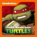 Teenage Mutant Ninja Turtles, Raph: Rebel Rampage watch, hd download