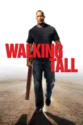 Walking Tall summary, synopsis, reviews