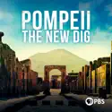 Pompeii: The New Dig, Season 1 release date, synopsis and reviews