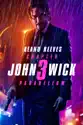 John Wick: Chapter 3 - Parabellum summary and reviews