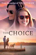 The Choice summary, synopsis, reviews
