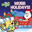 Wow! Wow! Wubbzy!, Wubbzy and the Holidays release date, synopsis, reviews