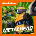 Teenage Mutant Ninja Turtles, Metalhead Unleashed! watch, hd download