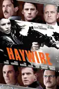 Haywire summary, synopsis, reviews
