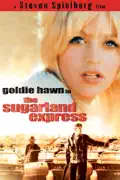 The Sugarland Express reviews, watch and download