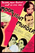 Moonlight Murder summary, synopsis, reviews